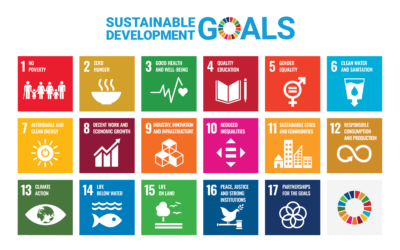 The Value of SDGs